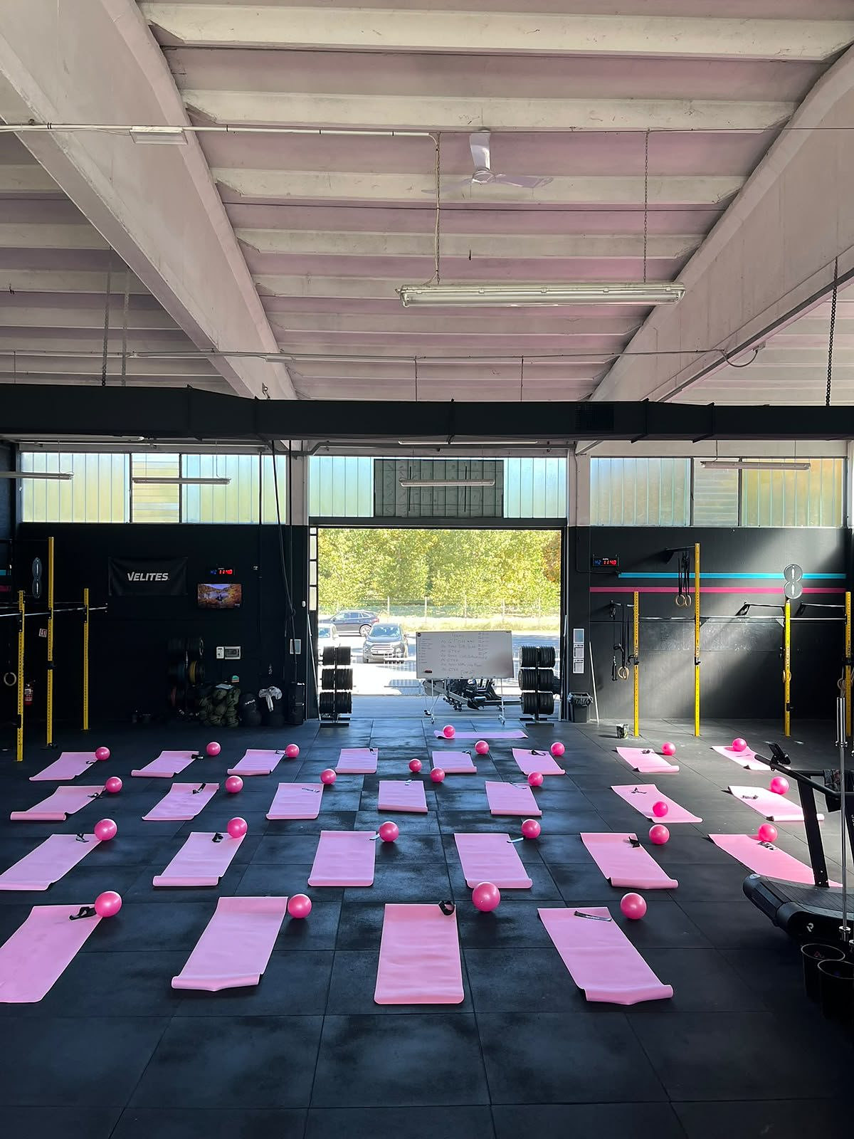 Tappetini e palline rosa allineati nella sala prima della masterclass