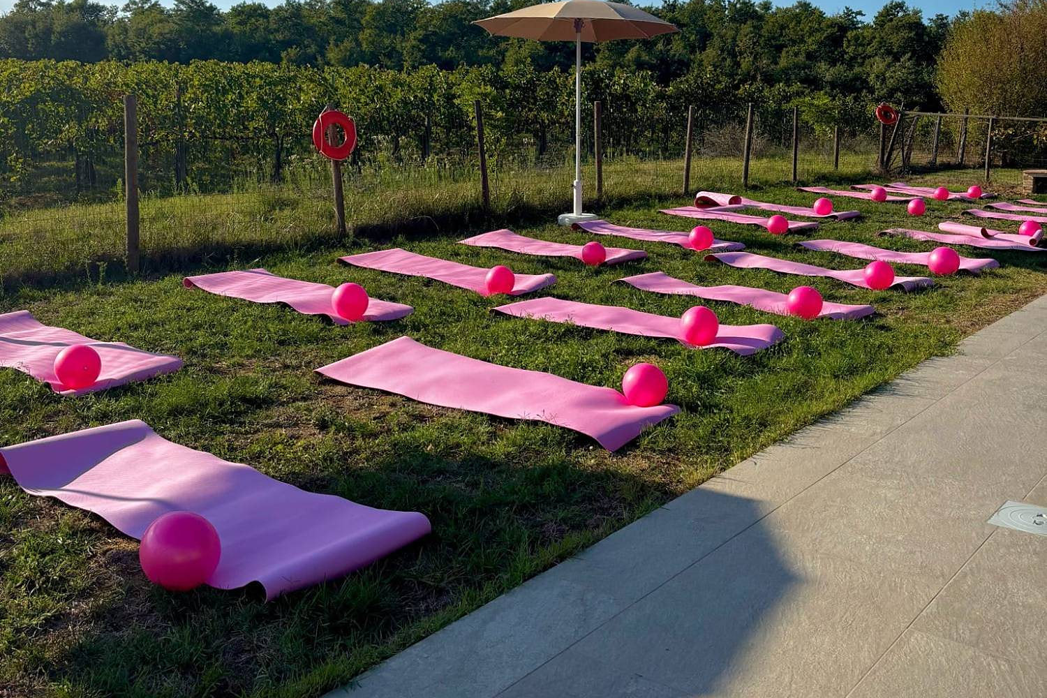 Tappetini e palline rosa pronti sul prato dell'agriturismo, davanti al vigneto